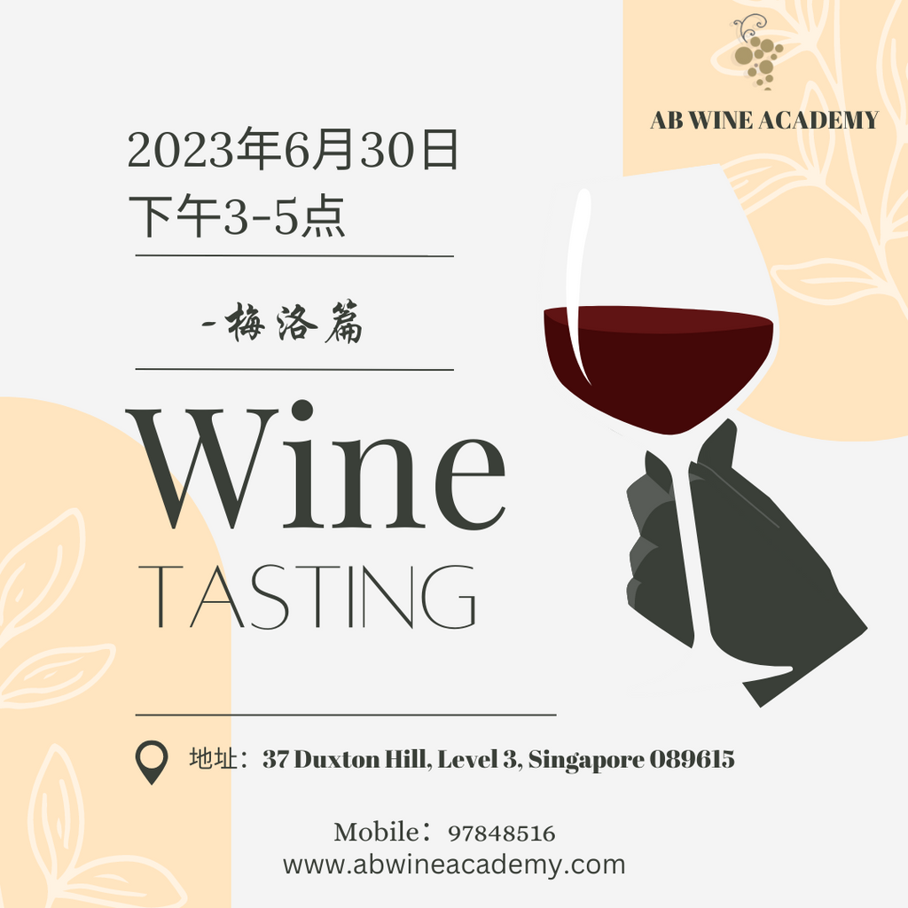 梅洛品鉴会